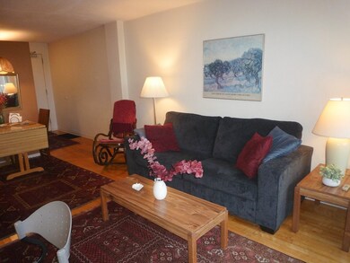 29 Concord Ave unit 712, Cambridge, MA 02138 - photo 6