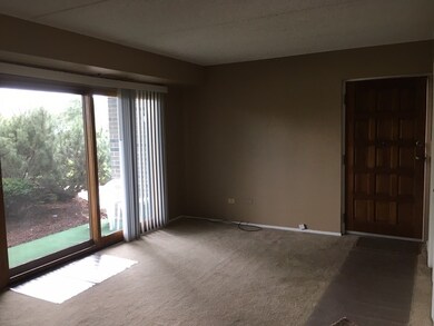 271 W 1st St, Elmhurst, IL 60126 - photo 3