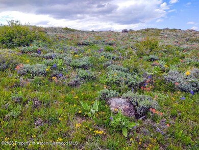 Wildflowers