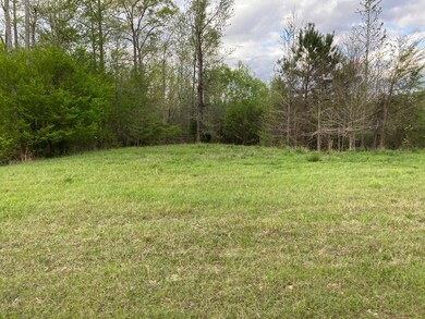 12 Crest Line Dr, Upatoi, GA 31829 - photo 3