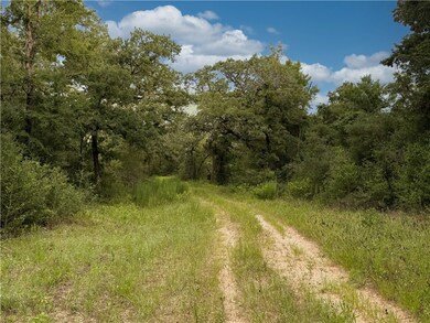 TBD E Old Hickory Grove Road Co Ne County Rd NE, Franklin, TX 77856 - photo 6
