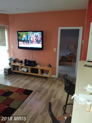 7417 Hindon Cir unit B1201, Windsor Mill, MD 21244 - photo 2