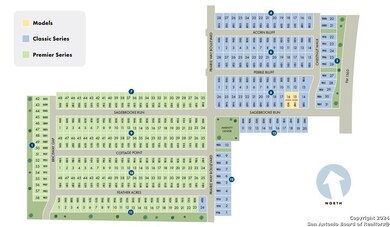 11335 Acorn Bluff, San Antonio, TX 78254 - photo 3