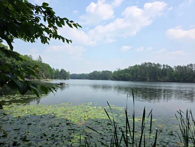 W2597 Hollister Rd E, White Lake, WI 54491 - photo 2