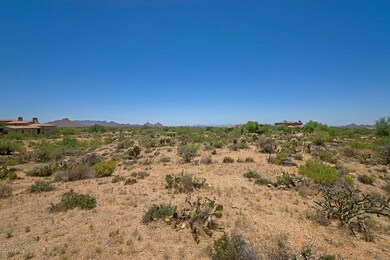 Lot 272