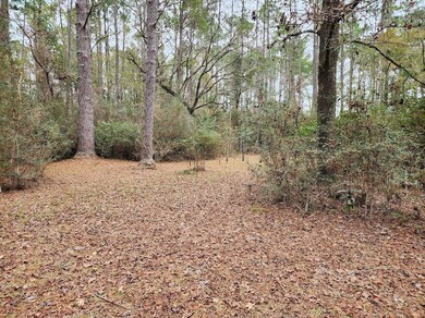 78 Nancy Allen St, Crawfordville, FL 32327 - photo 7