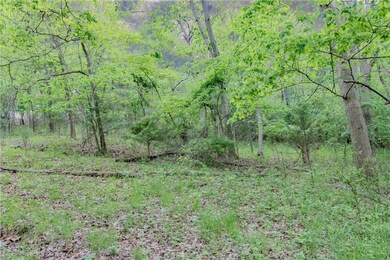 0 Allen Dr, Township 2, AR 72745 - photo 2