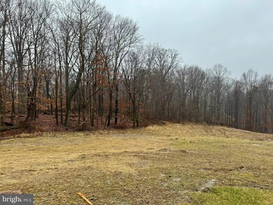 7869 Bluelick Run Rd, Baltimore, MD 21244 - photo 4