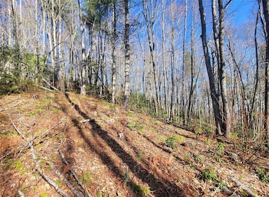 111 Digging Seng Trail unit 138, Waynesville, NC 28785 - photo 7