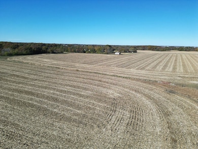 12140 County Loop Rd, Palmyra, IL 62674 - photo 3