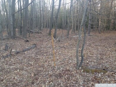 0 Slater Rd unit 108329, Maplecrest, NY 12454 - photo 7