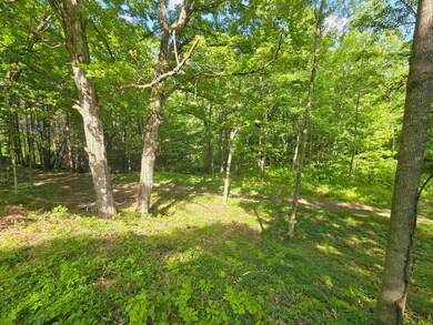 320 Green Mountain Camp Rd, Dummerston, VT 05301 - photo 6