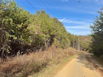 000 Sun Hill Way, Parrottsville, TN 37843 - photo 2