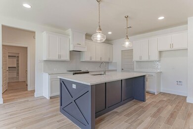 188 Saddle Horn Trail, Boyd, TX 76023 - photo 6