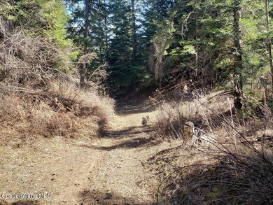 Pleasant Valley Loop Parcel B Pic 3