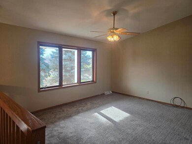 2361 Allan Drive Rd, Decorah, IA 52101 - photo 5