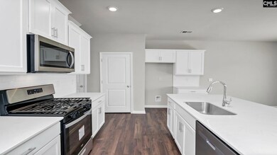 191 Livingston Woods Dr, Irmo, SC 29063 - photo 6