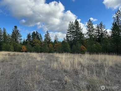 3 Garrison Rd, Goldendale, WA 98620 - photo 2
