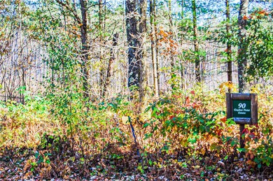 Lot 98 11 1 2 Ave, Cameron, WI 54822 - photo 6