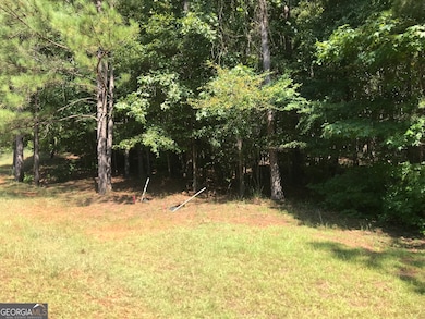 0 LOT 203 Jamesway Dr, Sparta, GA 31087 - photo 7