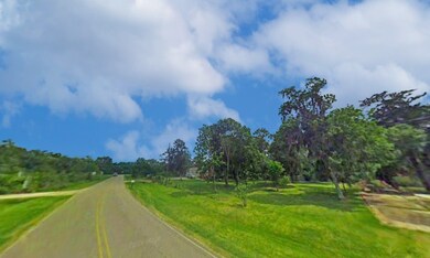 Lot 8 County Road 659, Brazoria, TX 77422 - photo 2