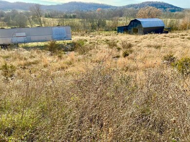 231 Highway 1003, Somerset, KY 42501 - photo 5