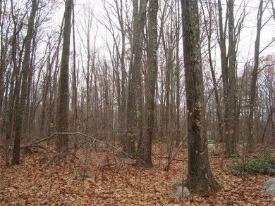 Lot 1 Brewer Way Extension, Holden, MA 01520 - photo 4