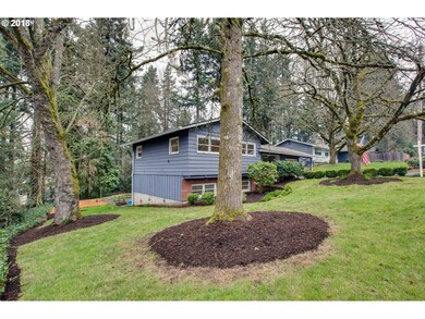 Front Yard