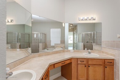 downstairs master bath 1.1