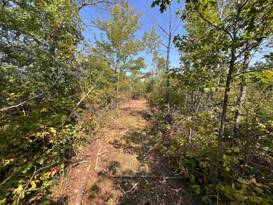 0 Parkway Rd, Beaver, WI 54114 - photo 3