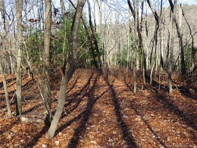 Back End of Lot