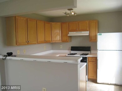 8807 Stoneridge Cir unit 202, Pikesville, MD 21208 - photo 4