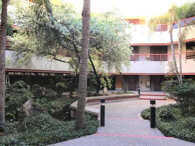 Large Courtyard with Mature Plants