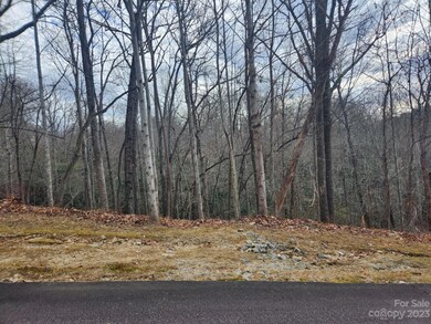 145 Ivywood Ln unit 10, Laurel Park, NC 28739 - photo 3