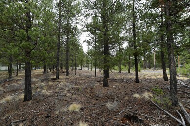 56607 Celestial Dr, Bend, OR 97707 - photo 5