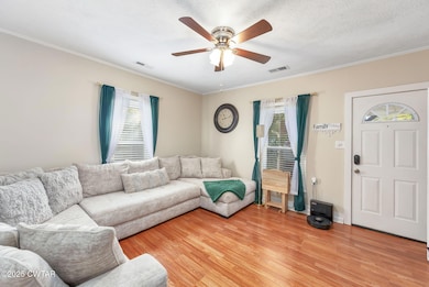 225 W Foster Ave, Medina, TN 38355 - photo 5