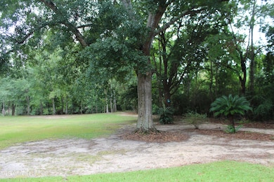 7230 Big Island Rd, Moss Point, MS 39562 - photo 4