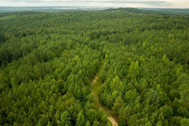 0 Camp Welfare Rd, Winnsboro, SC 29180 - photo 3