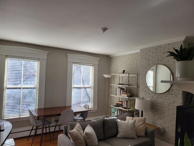 201 W Springfield St unit 2, Boston, MA 02118 - photo 4