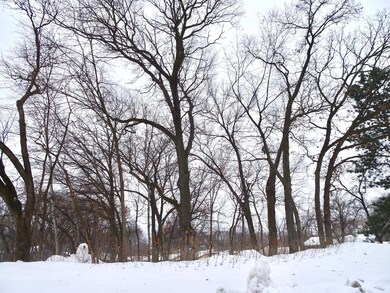 Ground View from Driveway