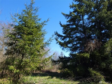 56 300th St NW, Stanwood, WA 98292 - photo 3