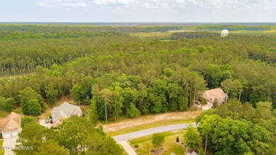 DJI_0480