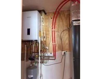 75 Homestead St unit 6, Dorchester, MA 02121 - photo 6