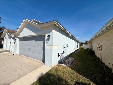 6838 Runner Oak Dr, Wesley Chapel, FL 33545 - photo 3