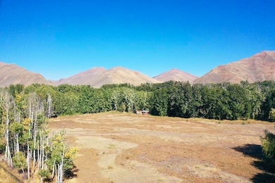 113 & 117 Lower Broadford Rd, Bellevue, ID 83313 - photo 4