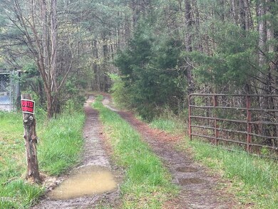 0 Moons Chapel Rd unit 10020399, Siler City, NC 27344 - photo 2