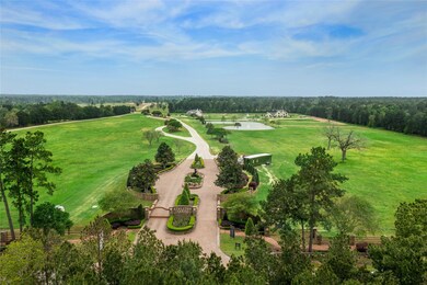 2415 Emerie Arbor Ln, Hockley, TX 77447 - photo 3