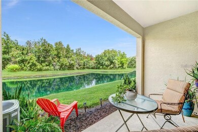 10023 Tranquility Way, Tampa, FL 33625 - photo 4