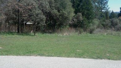 Small trees: oaks, manzanita and cedar provides a 