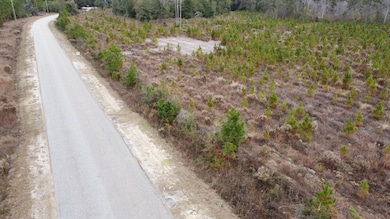 Tbd Amos Rd, Georgetown, SC 29440 - photo 5